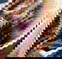 Haci's Kebabs Food Truck - Accommodation Main Beach