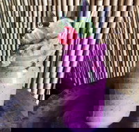 Jungle - Accommodation Main Beach