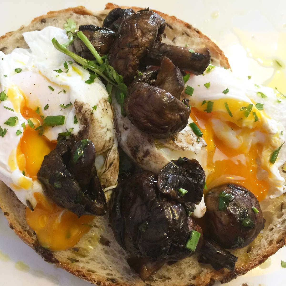 Wahroonga NSW Accommodation Main Beach