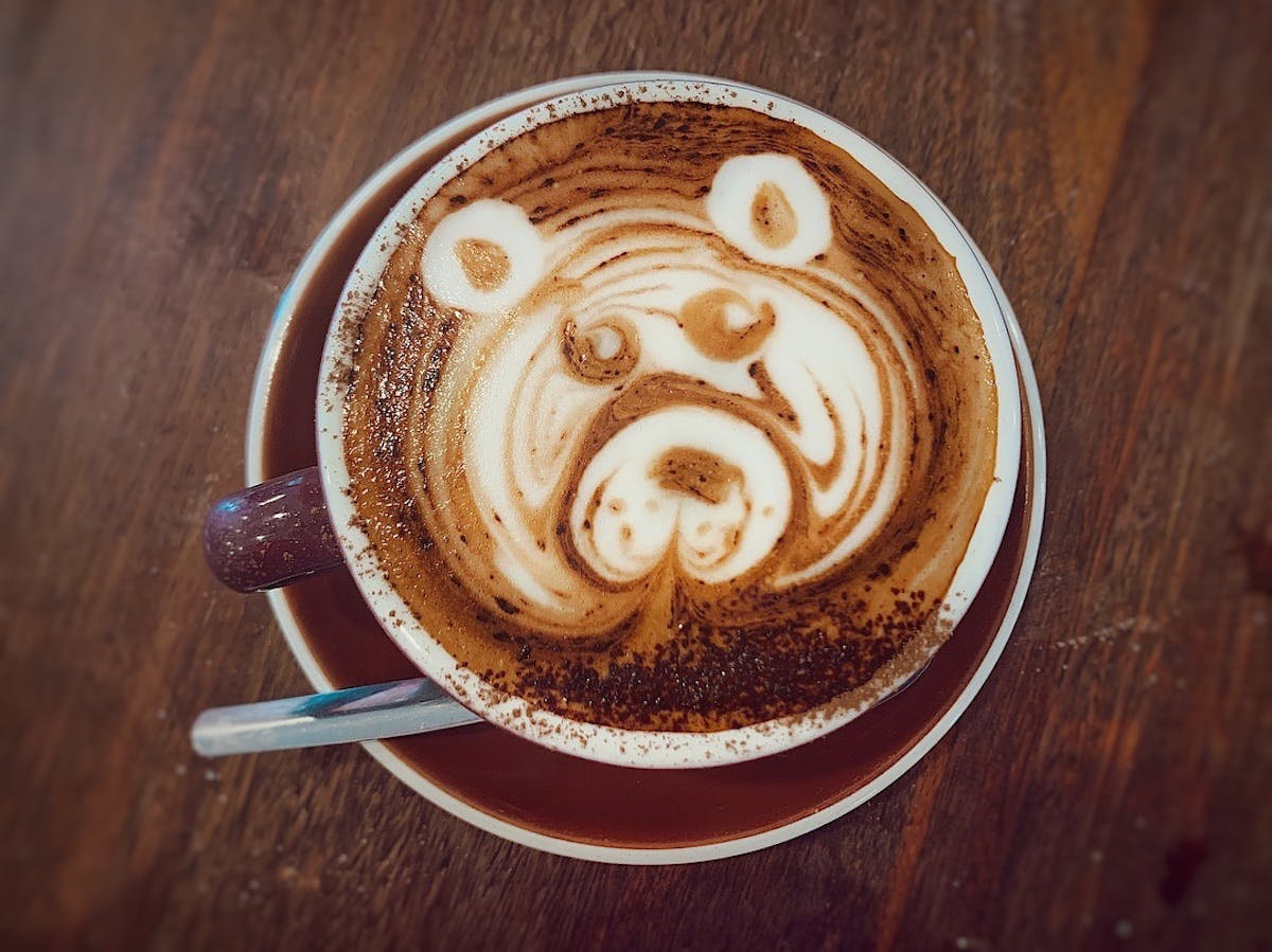 North Tamborine QLD Accommodation Main Beach