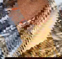 Cafe M28 - Accommodation Main Beach