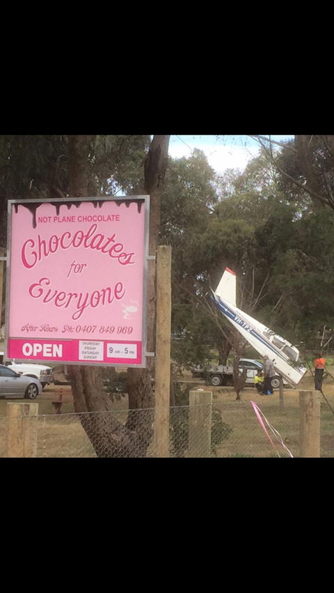 Chocolates For Everyone - Accommodation Main Beach 1