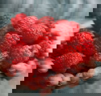 Christmas Hills Raspberry Farm Cafe - Accommodation Main Beach