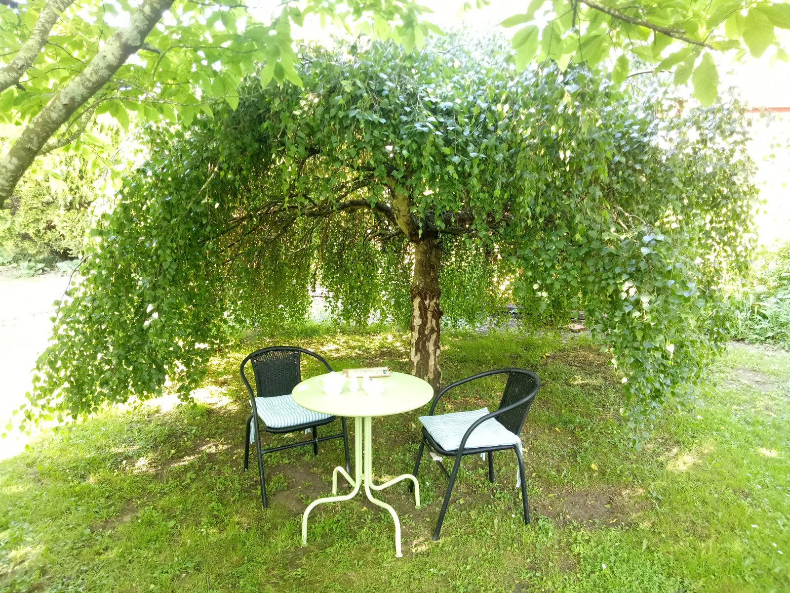 Mole Creek TAS Accommodation Main Beach