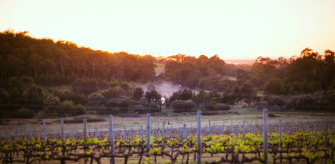 Howling Wolves Wines - Accommodation Main Beach 0