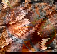 Mr Espresso - Ramsgate - Accommodation Main Beach