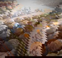 Pompadours Chocolate House - Accommodation Main Beach