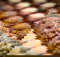 Rebel Donuts - Accommodation Main Beach