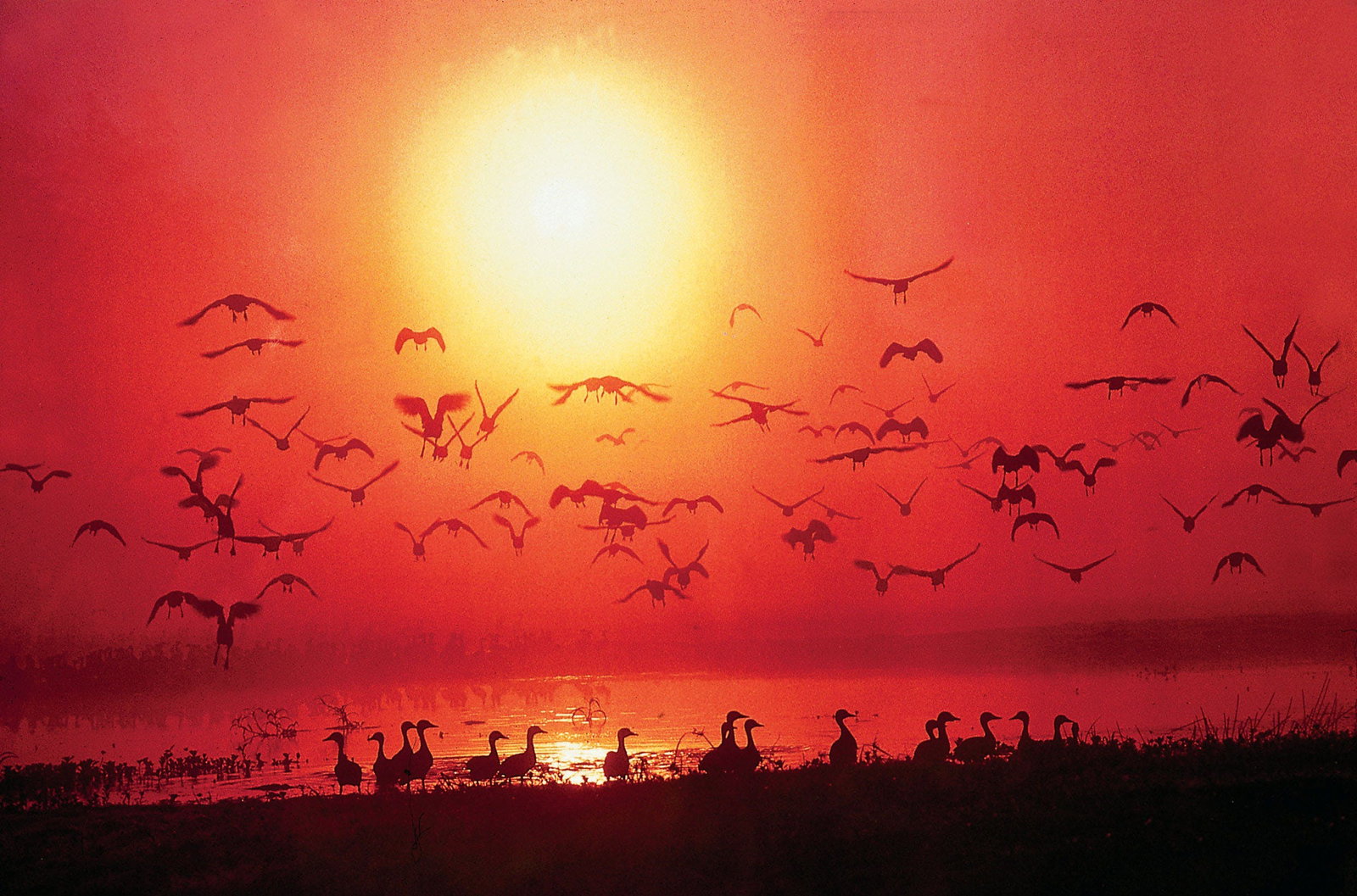 Solus ACT Accommodation Main Beach