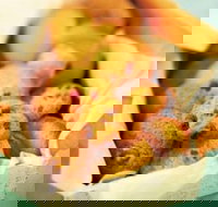 Beretta's Langwarrin Hotel - Accommodation Main Beach