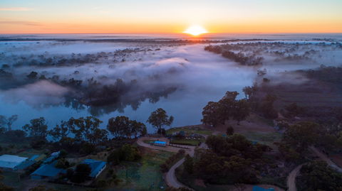 Caudo Vineyard Cellar Door - Accommodation Main Beach 1
