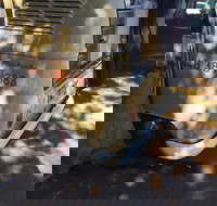 Kombi Koffein - Accommodation Main Beach