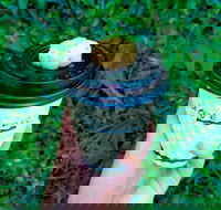 Mvenpick Ice Cream - Upper Mount Gravatt - Accommodation Main Beach