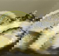 Pearly Oyster Bar and Farm - Accommodation Main Beach