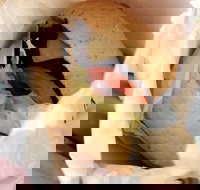 The Crusty Loaf - Accommodation Main Beach