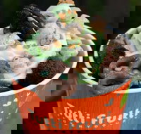 Tutti Frutti Frozen Yogurt - Upper Mount Gravatt - Accommodation Main Beach