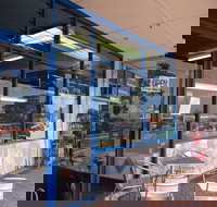 Daily Catch - Accommodation Main Beach