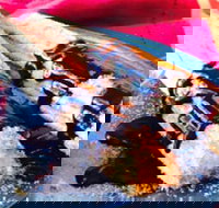 Donut King - Broadmeadows - Accommodation Main Beach