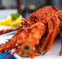 Freycinet Marine Farm - Accommodation Main Beach