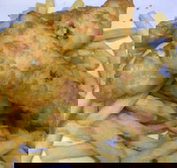 Red Rooster - Malaga - Accommodation Main Beach