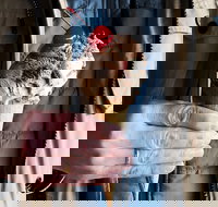 Van Diemens Land Creamery - Accommodation Main Beach