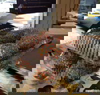 Brumby's - Holland Park - Accommodation Main Beach