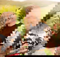 De Bortoli Wines Pokolbin - Accommodation Main Beach