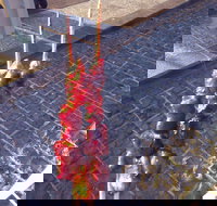 Harvest Coffee - Accommodation Main Beach