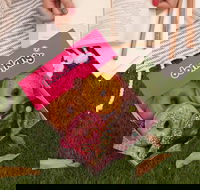 Donut King - Mitchelton - Accommodation Main Beach