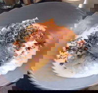 Jimmy Fox - Accommodation Main Beach