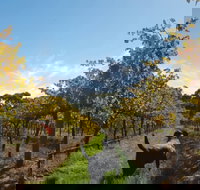 Ruddenklau Wines - Accommodation Main Beach