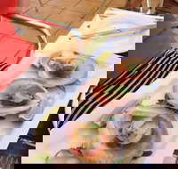 Sirocco Noosa - Accommodation Main Beach