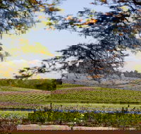 Wynwood Estate - Accommodation Main Beach