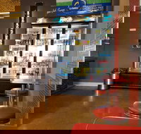 Mr Chook - Accommodation Main Beach