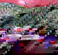 Songbirds - Accommodation Main Beach