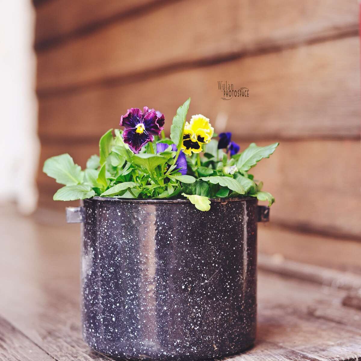 Accommodation Main Beach