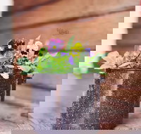 The York Mill - Accommodation Main Beach