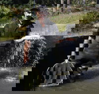 41 Degrees South Tasmania - Accommodation Main Beach