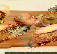 Fat Monk - Accommodation Main Beach