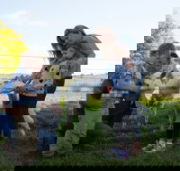 Sunhill Dairy Goats and Sunhill Skin Essentials - Accommodation Main Beach