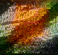 Wild Life Brewing Co. - Accommodation Main Beach