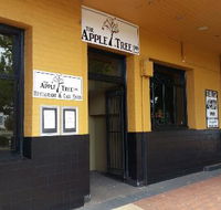 The Apple Tree Inn - Accommodation Main Beach