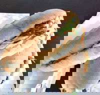 Lunch Bake - Accommodation Main Beach