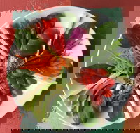 Olive Bus Clare - Accommodation Main Beach