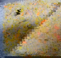 Shan E Punjab - Accommodation Main Beach