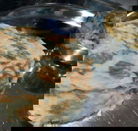 Velsha's Indian Takeaway - Accommodation Main Beach