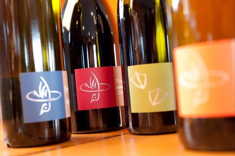 Puddleduck Vineyard - Accommodation Main Beach 2