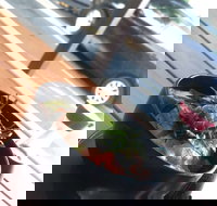 Sushi Monster - Accommodation Main Beach