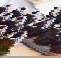 Ol' Mate Coffee - Accommodation Main Beach