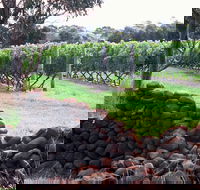 Spring Vale Vineyard - Accommodation Main Beach